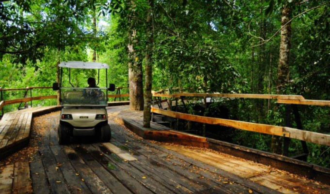 Huilo Huilo, Electric Carts in the Forest - Chile